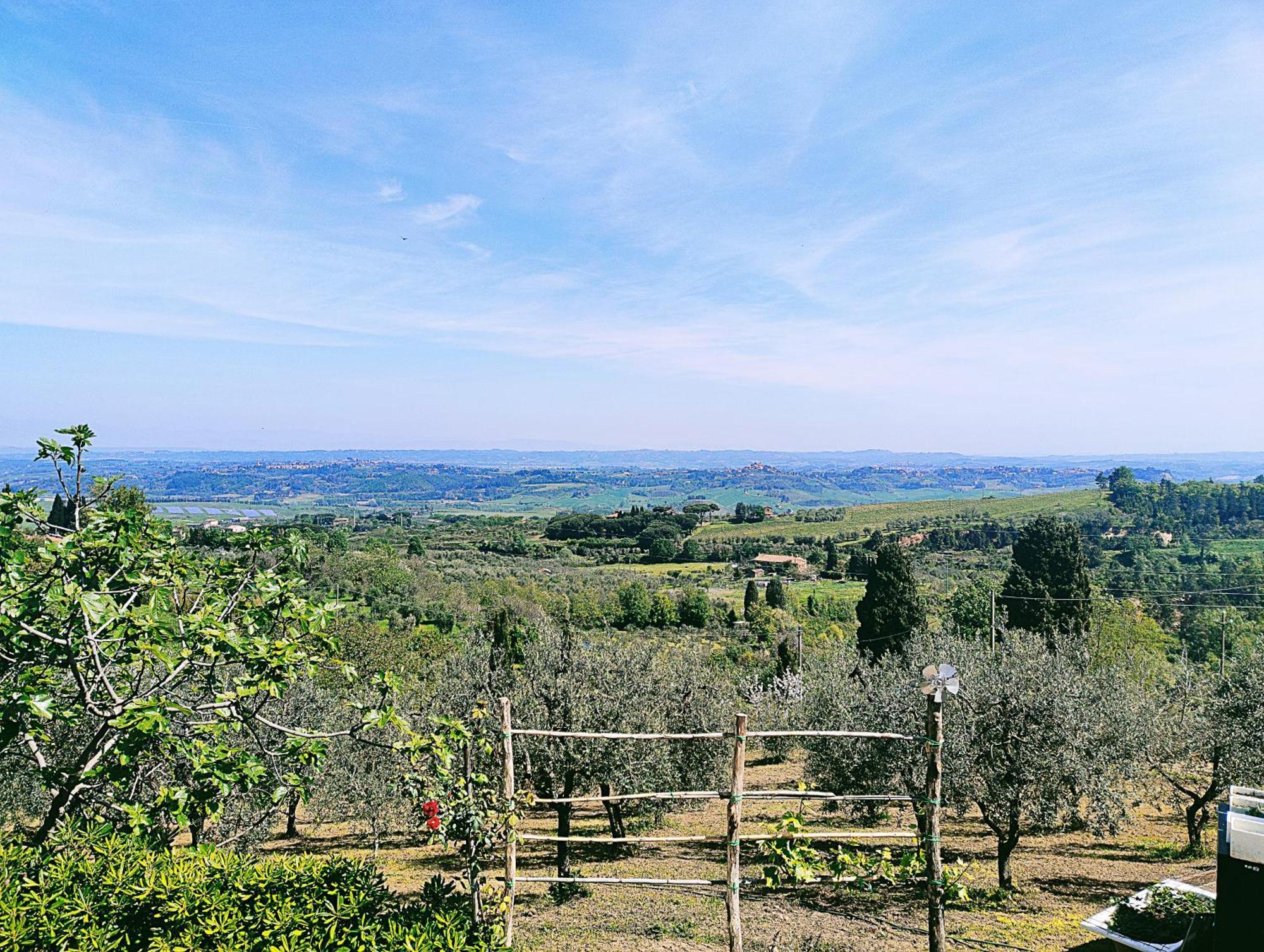 La Casina Di Colle - Appartamento Rustico Sulle Colline Di Pisa Casciana Terme Dış mekan fotoğraf